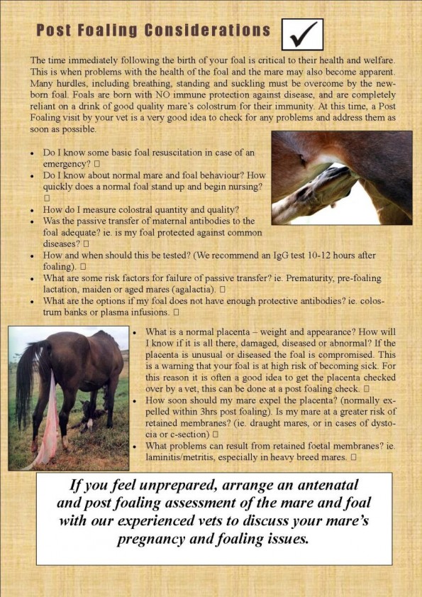 Foaling are you prepare DJ article (3)