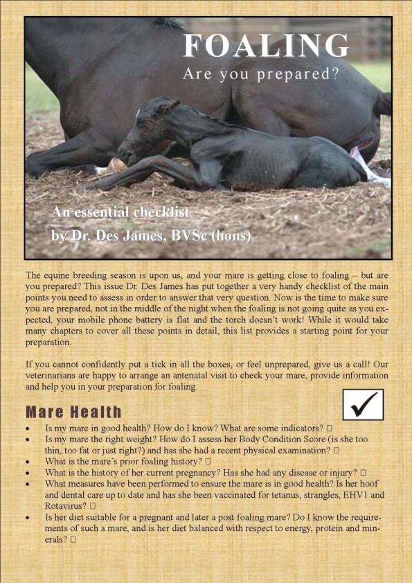 Foaling are you prepare DJ article