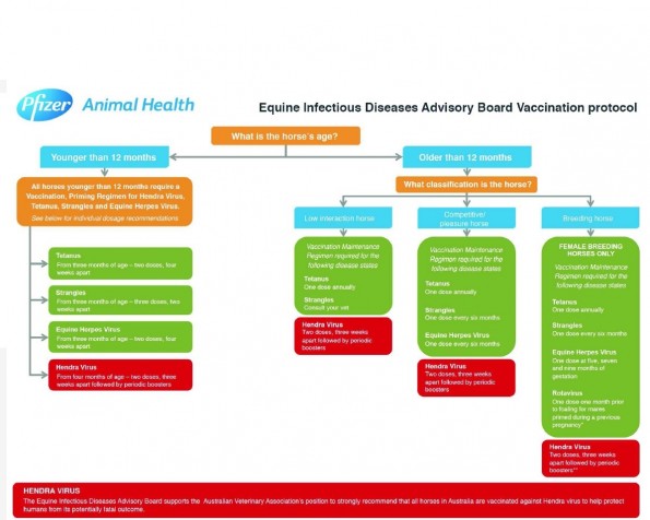 hendra vaccine protocol(1)